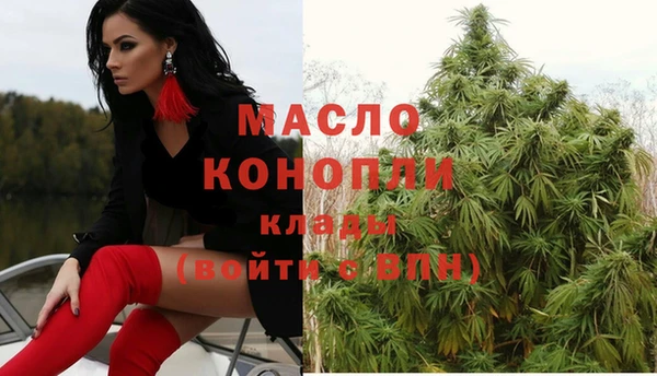 ECSTASY Богородицк