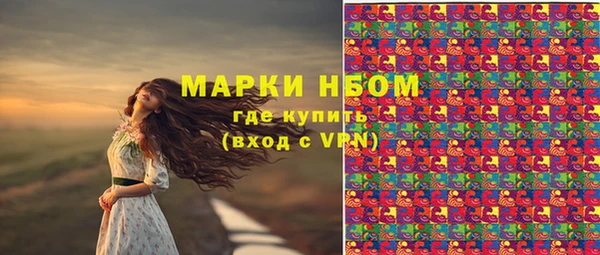 ECSTASY Богородицк
