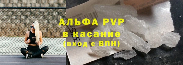 молекула духа Бородино