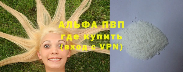 спиды Богородск