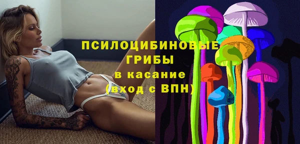 бутират Богданович