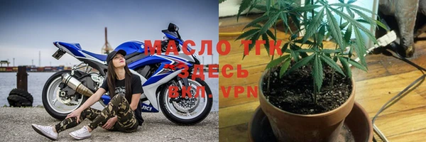 индика Бронницы